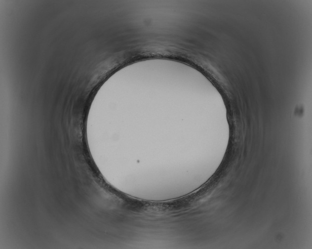 X0000092100489200710101125