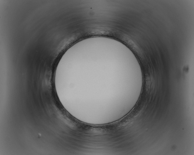 X0000092100490200710101125