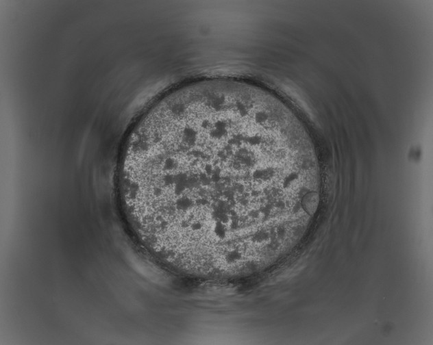 X0000092100491200710101125