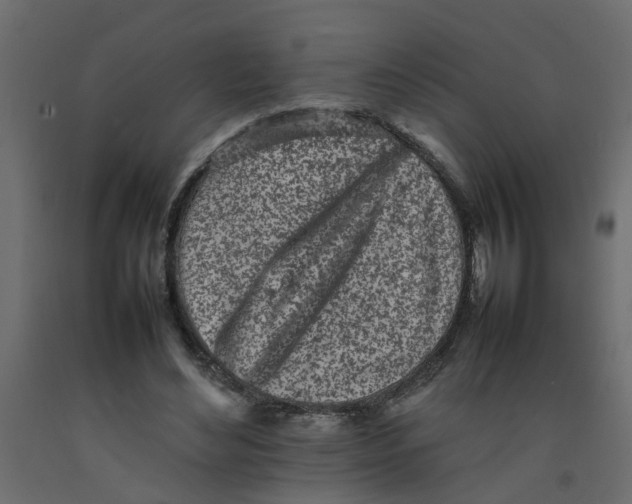 X0000092100492200710101125