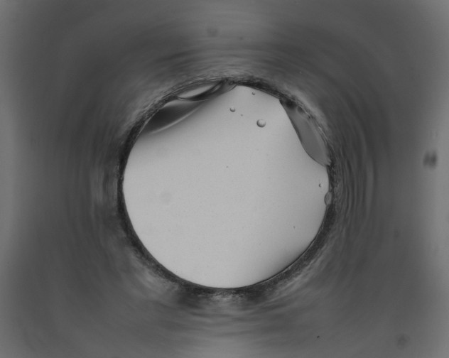 X0000092100493200710101125