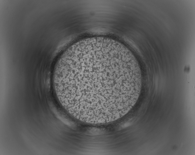 X0000092100494200710101125