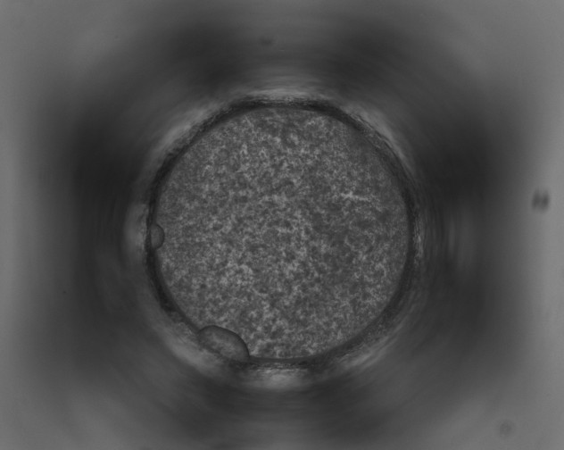 X0000092100495200710101125