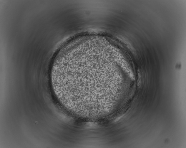 X0000092100496200710101125