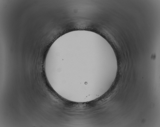 X0000092100497200710101125