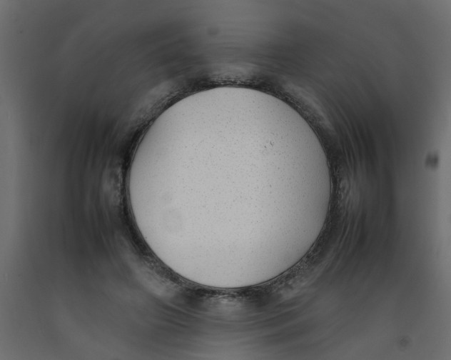 X0000092100498200710101125