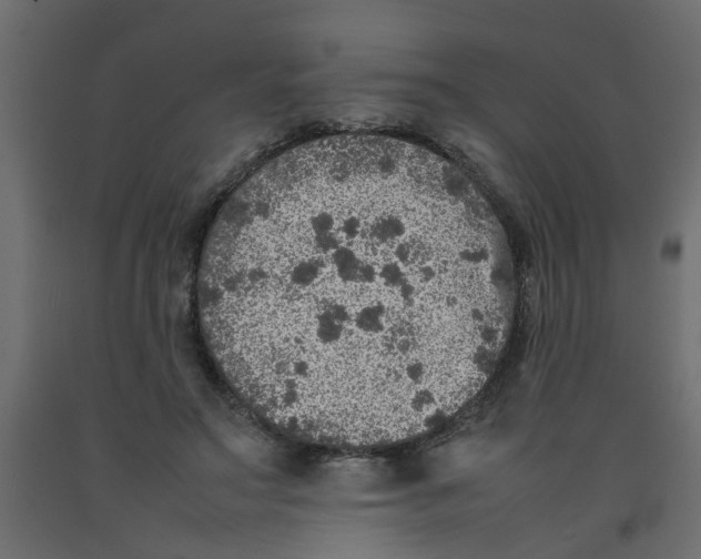 X0000092100499200710101125