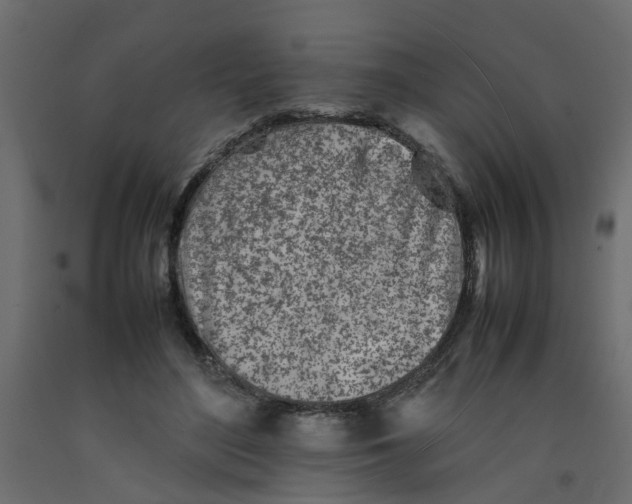 X0000092100500200710101125