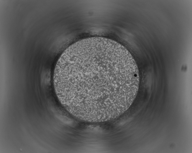 X0000092100502200710101125