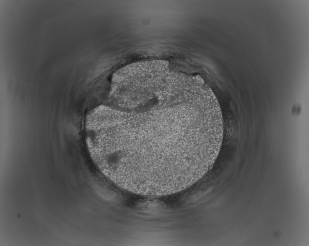 X0000092100503200710101125