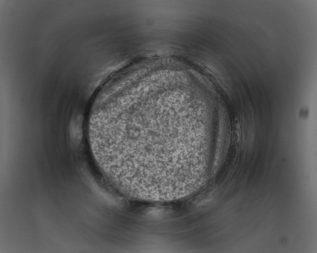 X0000092100504200710101125