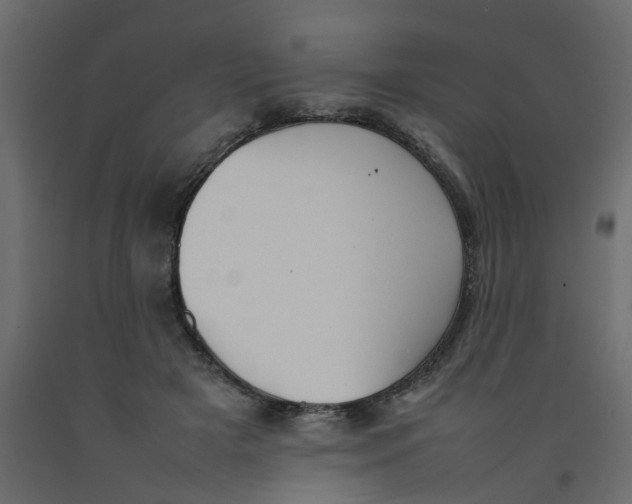 X0000092100505200710101125