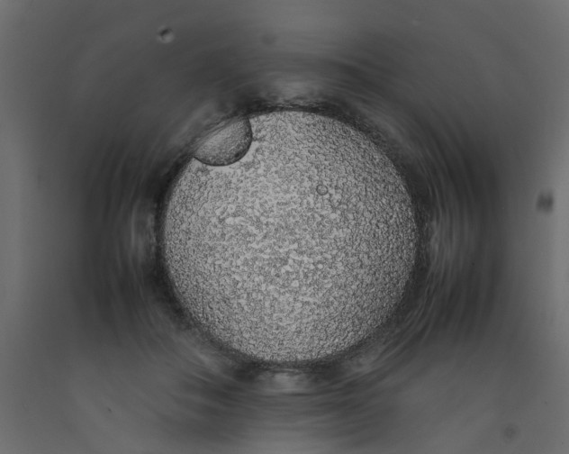 X0000092100506200710101125