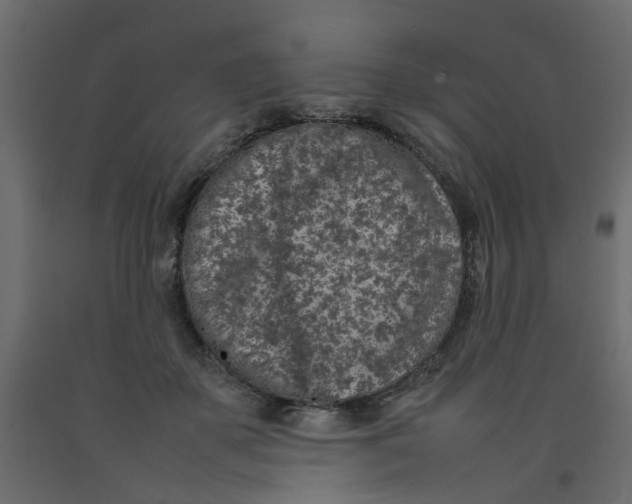 X0000092100507200710101125