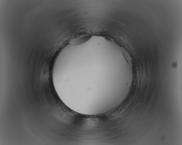 X0000092100508200710101125