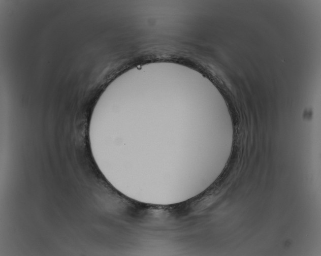 X0000092100509200710101125