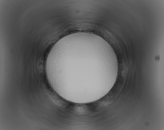 X0000092100510200710101125