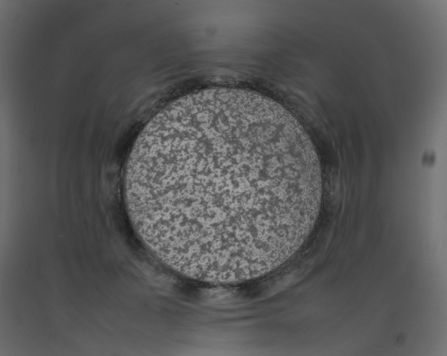 X0000092100511200710101125