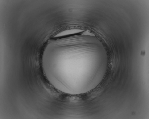 X0000092100512200710101125