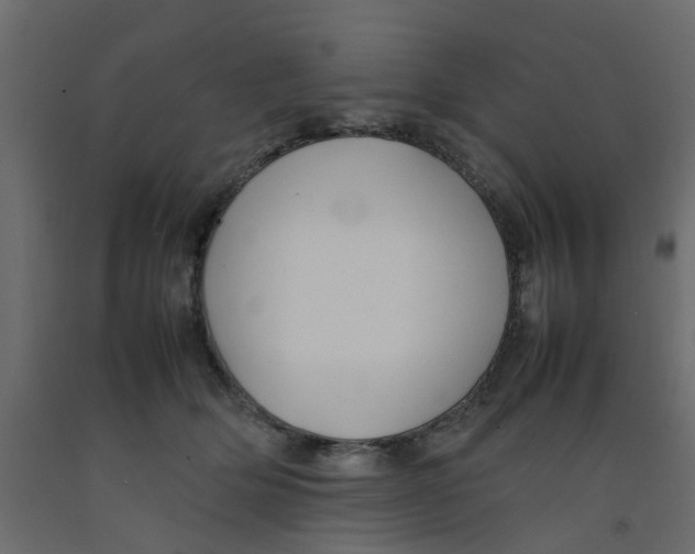 X0000092100514200710101125