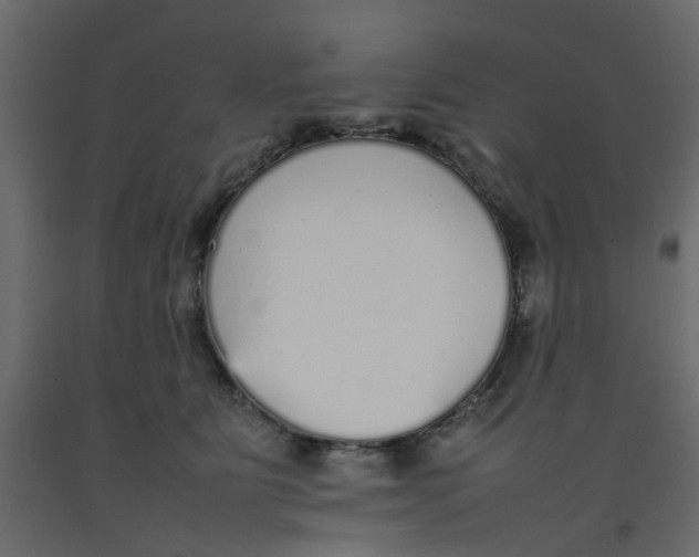 X0000092100515200710101125