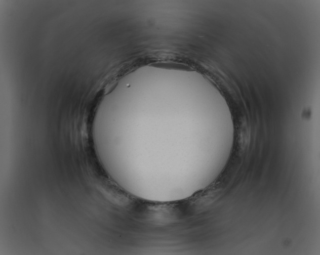 X0000092100516200710101125