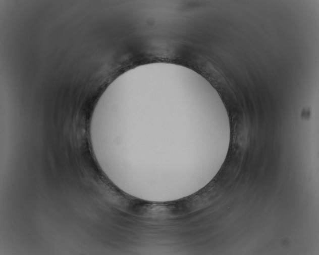 X0000092100518200710101125