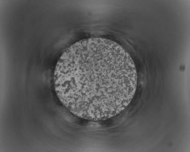 X0000092100519200710101125