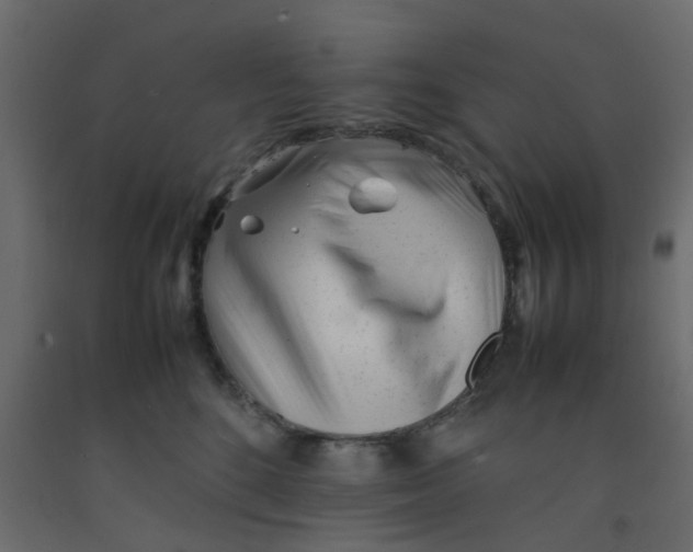 X0000092100520200710101125