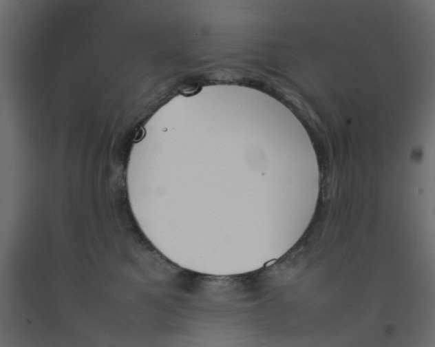 X0000092100521200710101125