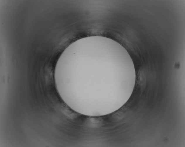 X0000092100522200710101124