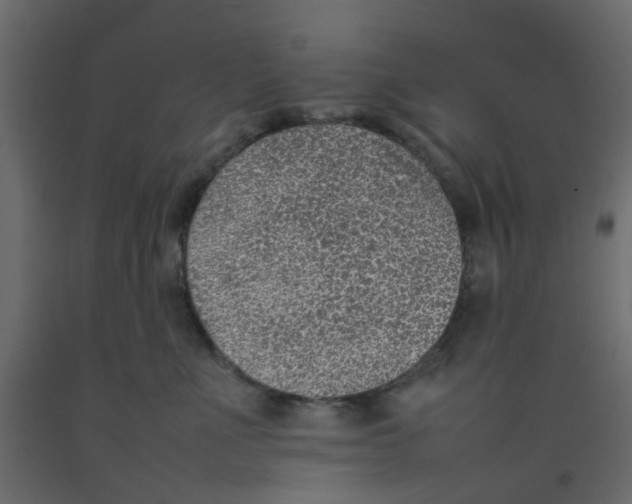 X0000092100523200710101124