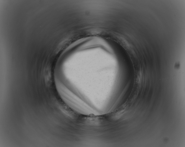 X0000092100524200710101124