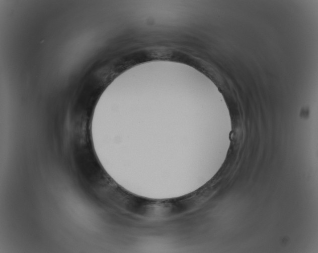 X0000092100525200710101124