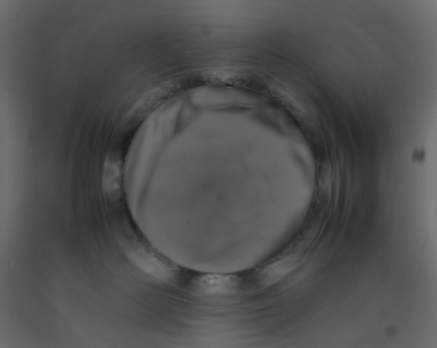 X0000092100526200710101124