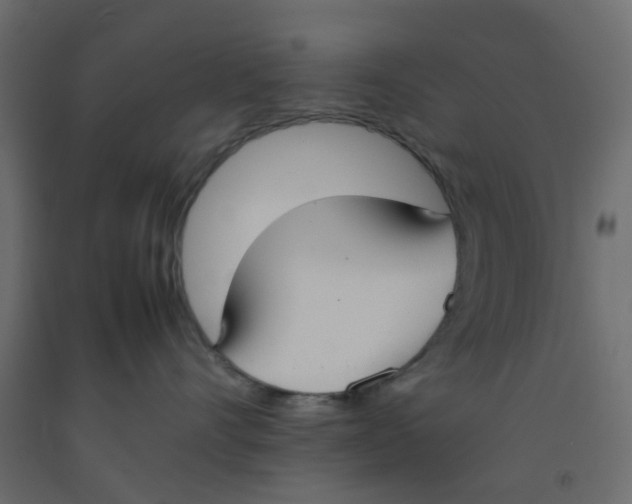 X0000092100528200710101124