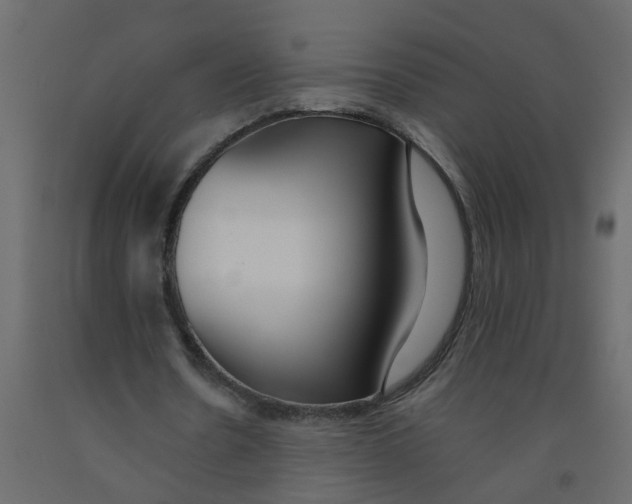 X0000092100530200710101124