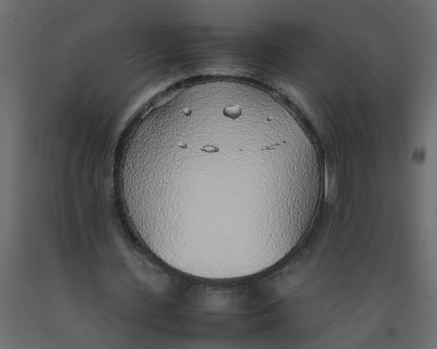 X0000092100531200710101124