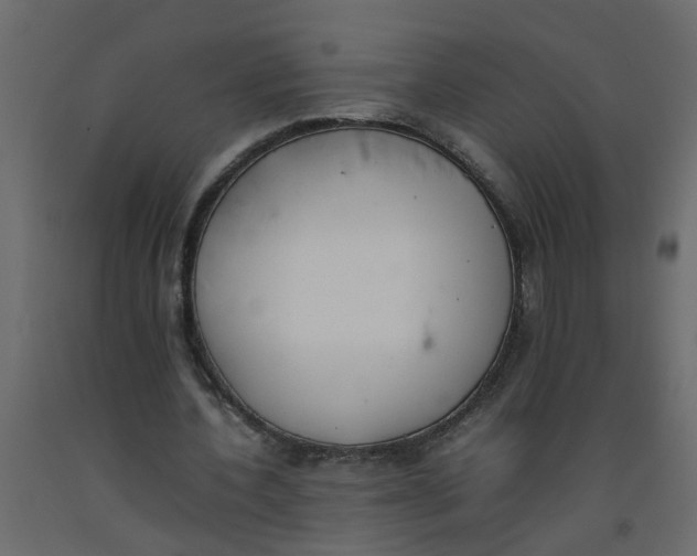 X0000092100532200710101124