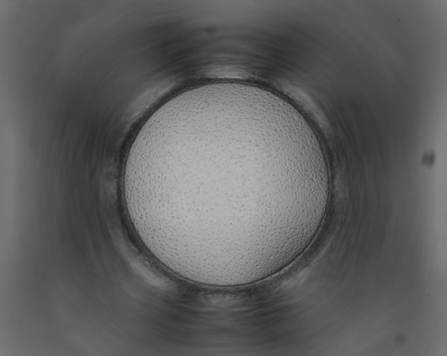 X0000092100533200710101124