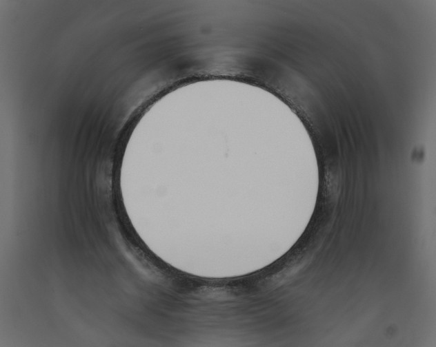 X0000092100534200710101124