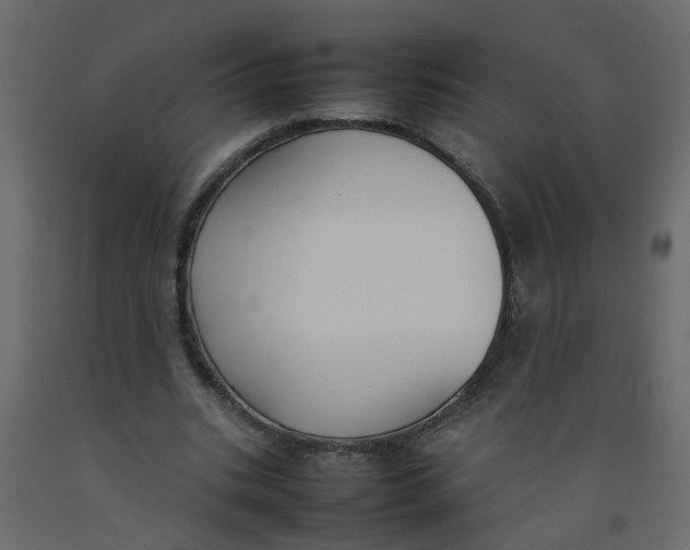 X0000092100535200710101124