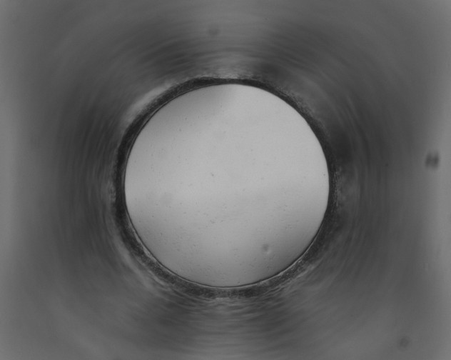 X0000092100536200710101124