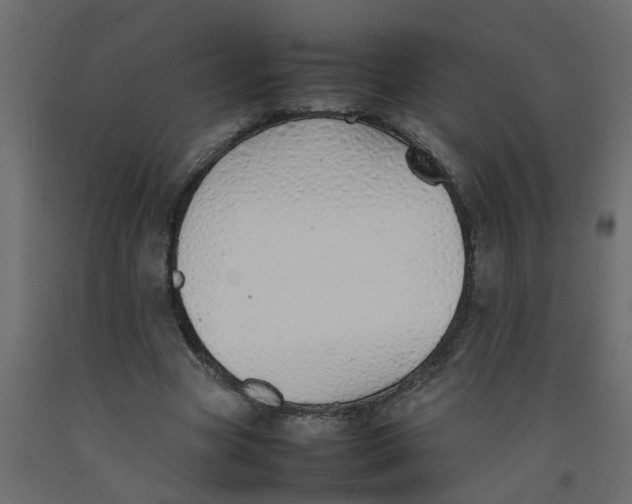 X0000092100537200710101124