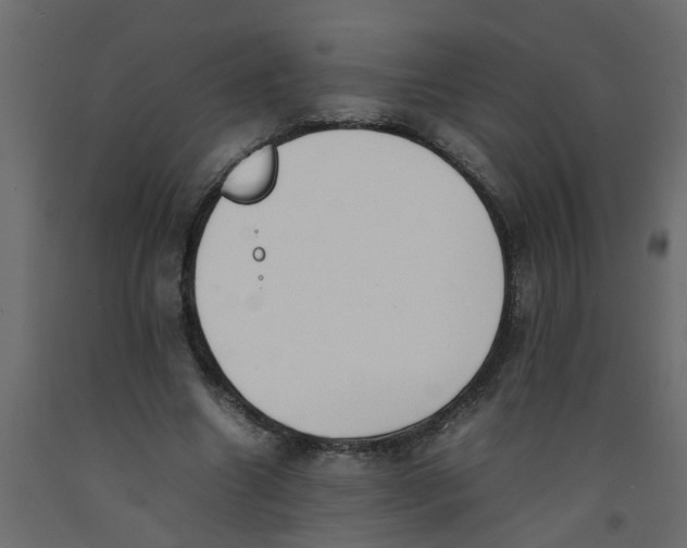 X0000092100538200710101124