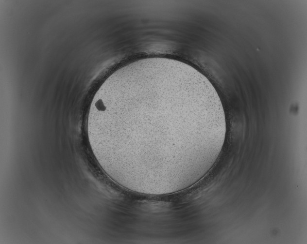 X0000092100539200710101124