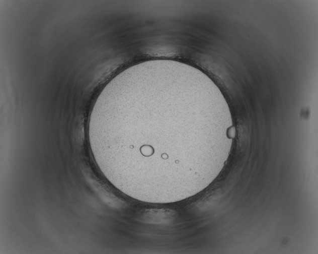 X0000092100541200710101124