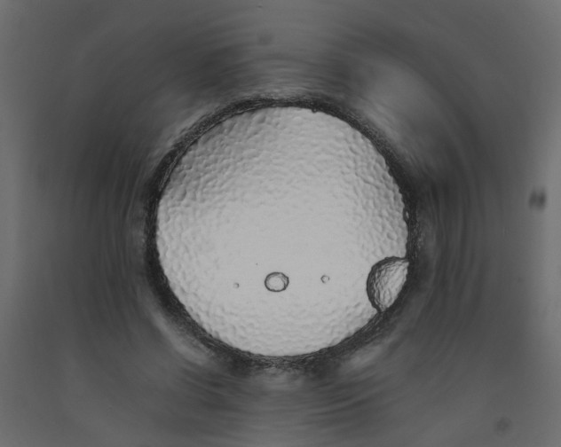 X0000092100542200710101124