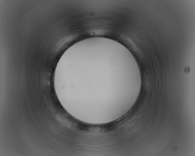 X0000092100543200710101124