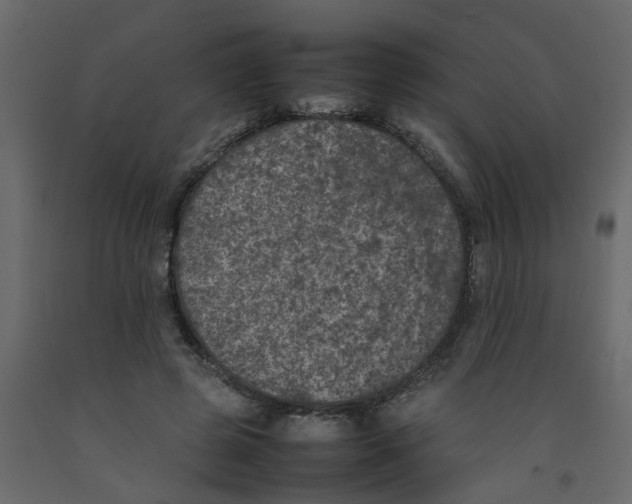 X0000092100545200710101124